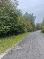 23684265
