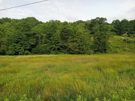 23685745