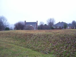 23686445