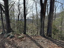 23686495