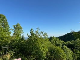 23687060