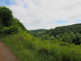 23687246