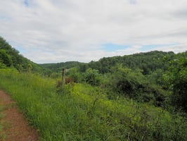 23687245