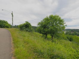 23687256