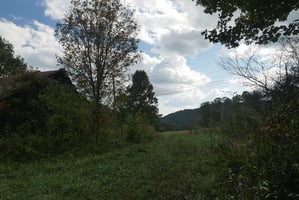 23688677