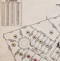 23689446