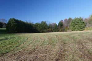 23689582