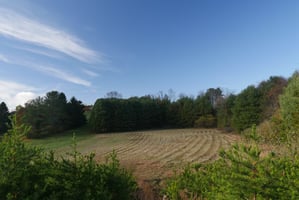 23689580