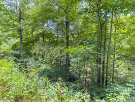 23691702