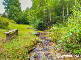 23691795