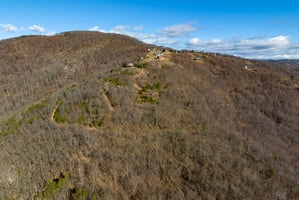 23691937