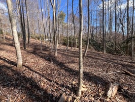 23692622