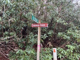 23694041