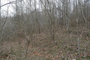 23696163