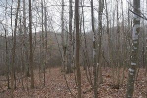 23696166