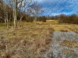 23697414