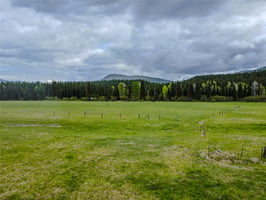 29637078