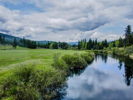 23699428