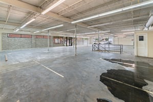 23709675