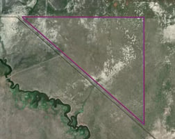 25464082