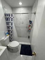 29558129