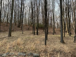 23737570