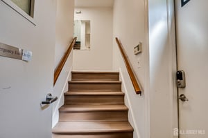 26380637