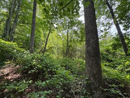23749001