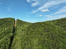 23749007