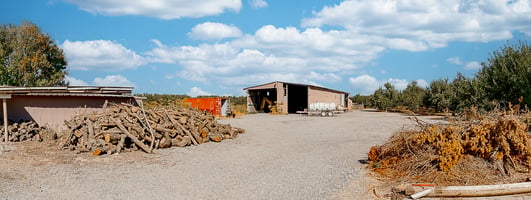 23749803