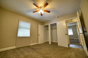 23749913
