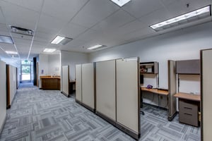 23750600