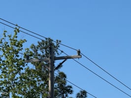 23760032