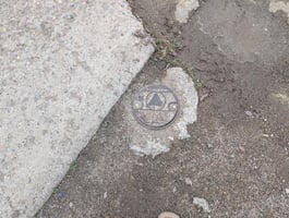 23756598