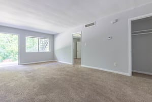 23764137