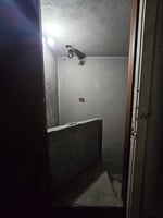 23775081