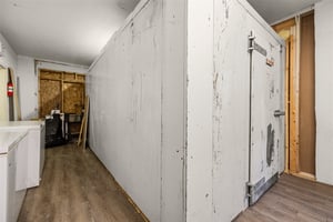 23779502