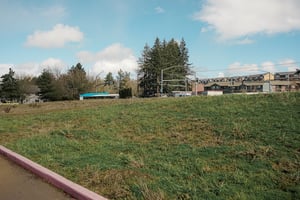 23781508