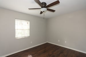 23803732