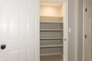 23803941