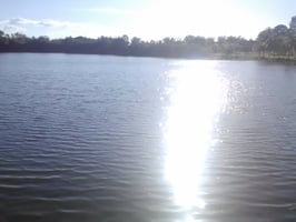 23803075