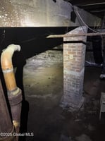 23798031