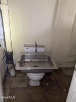 29437447