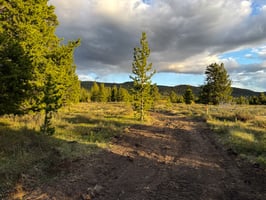 23816808