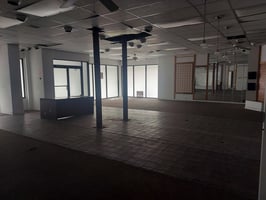 23894853