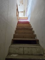 23828282
