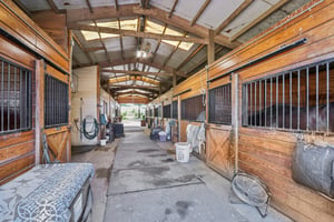 24169463