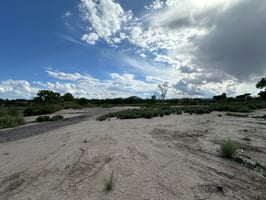 23840081