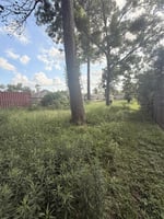 23845840