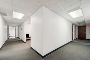 23851244